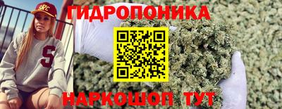 ГАЛЛЮЦИНОГЕННЫЕ ГРИБЫ Пугачёв
