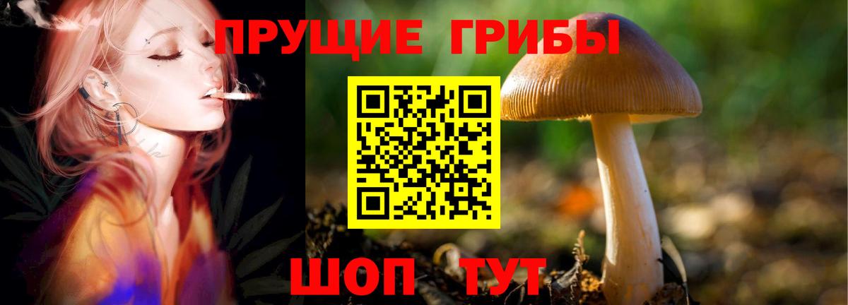 Псилоцибиновые грибы Magic Shrooms  Вход с VPN  Пугачёв 