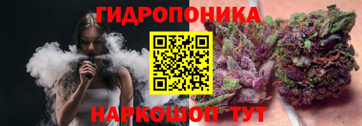 Пугачёв  Бошки Шишки SATIVA & INDICA  Бошки марихуана MAZAR  Вход с VPN 